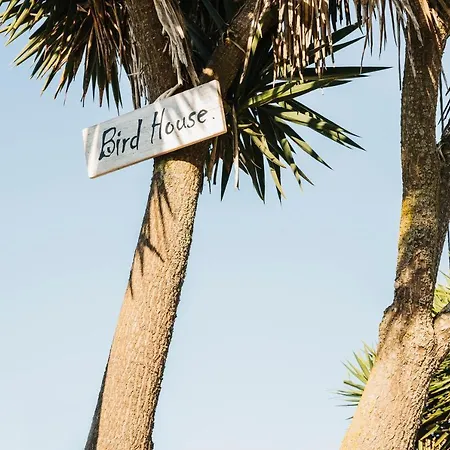 Bird House بيت للعطل *