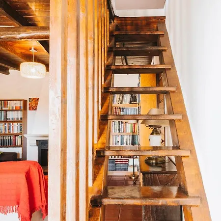 Bird House بيت للعطل