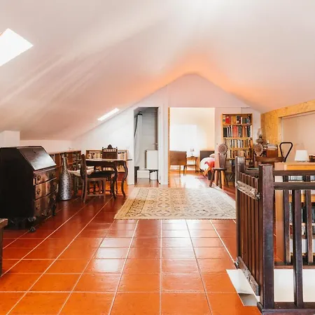 بيت للعطل Bird House *