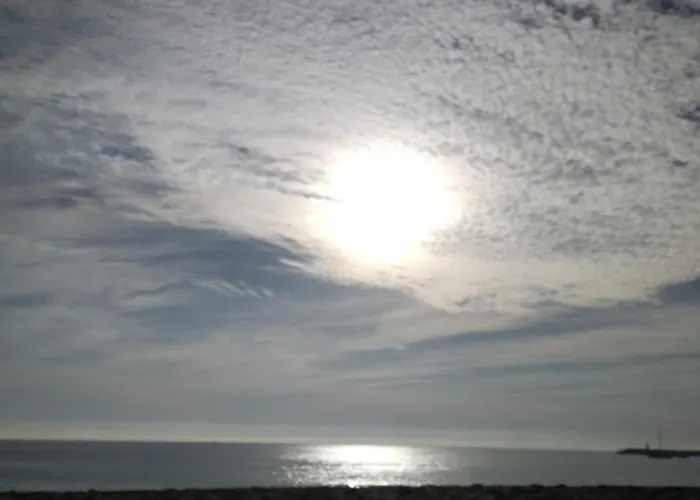 Bird House Casa vacanze