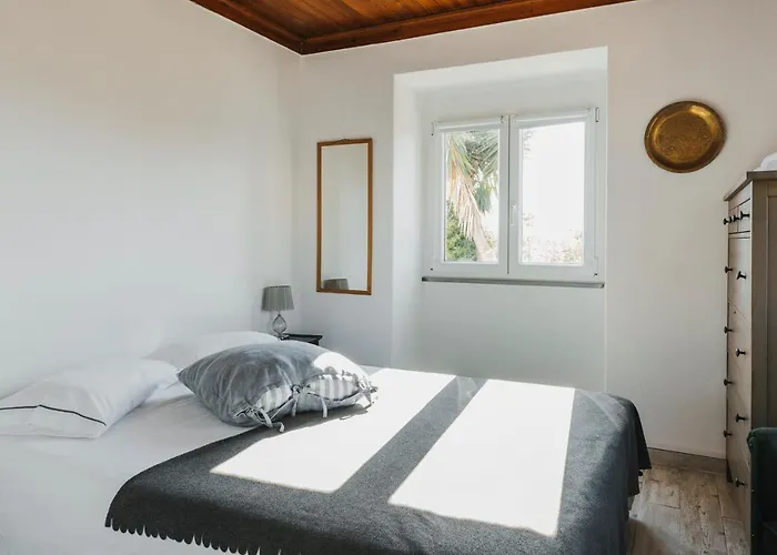 Casa vacanze Bird House *